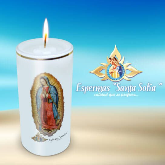 Cirios Vela cirio blanca